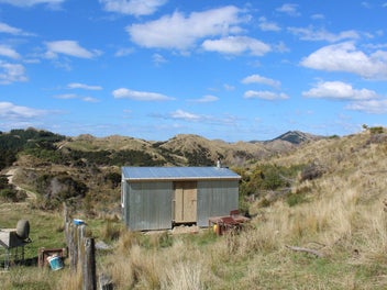 Image 1 of 1