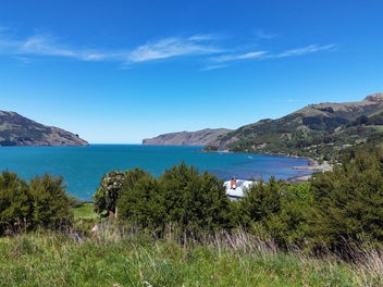 Sea Views. Big Dreams. Your Wainui Opportunity