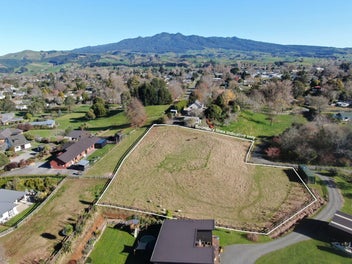 Image 1 of 16