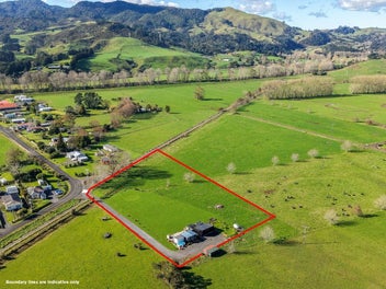 Image 1 of 25