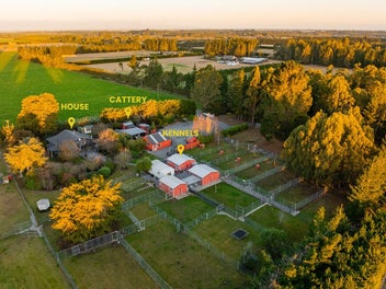 Image 1 of 20