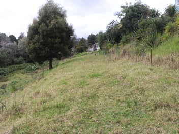 1.47ha Native Bush Retreat–Perfect for Tiny Homes
