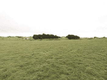 6009m² Freehold – Develop, Subdivide or Build