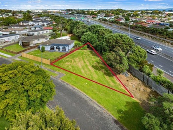Freehold vacant section