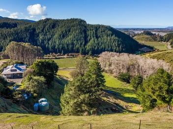 Grazing, views and future income