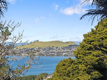 A slice of Titirangi nestled in Hillsborough