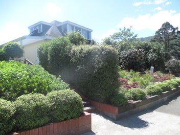 Image 1 of 18