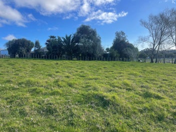 Image 1 of 8
