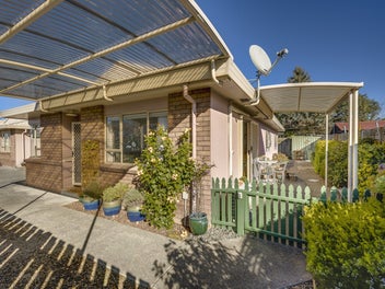 Taradale Terrific