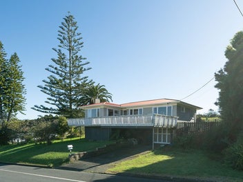 Another Gem in Hikurangi