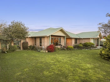 Practical Family Living in Redwoodtown