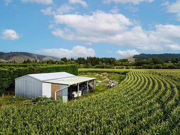 Rural Paradise: 21 Acres with Serene Mountain View