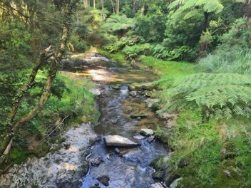Image 1 of 34