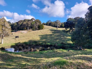 Beautiful Lifestyle Lot 20 Minutes From Kerikeri