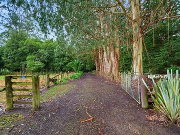 "Ngaturi Bush" Rural Privacy & Family Living