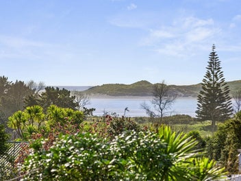 Image 1 of 24