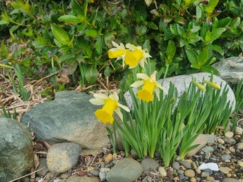Image 1 of 19