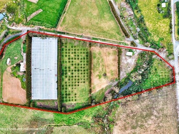 LIFESTYLE BLOCK WITH INCOME POTENTIAL