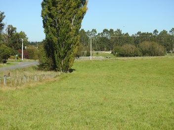 Exceptional Ashley Downs Lifestyle Block