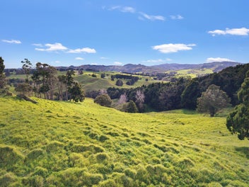 Space, Grazing & Native Beauty