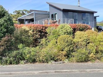 Image 1 of 30