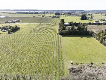 Four hectares of flat land, endless possibilities