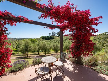 Embrace Tuscan Charm in Rural Serenity