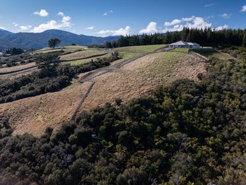 1.4ha Kaitoke Section with Treetop Views