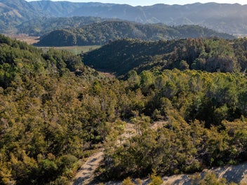 Escape to Your Own Native Sanctuary