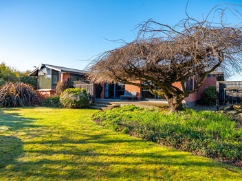 Country Charm, Pool, Sheds & Opportunity