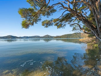 Natural beauty abounds in the Kenepuru Sound
