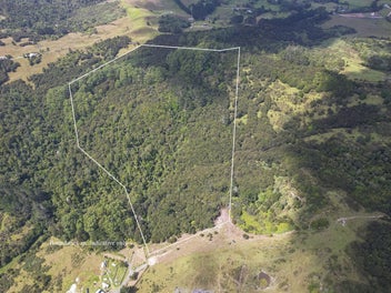 Image 1 of 11
