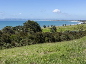 Image 1 of 14