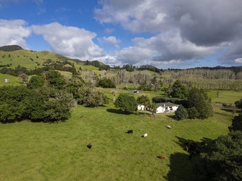 Image 1 of 42