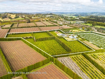 Productive Lifestyle Horticultural Investment