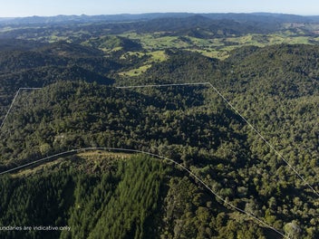 Peaceful, Private Bush Block with Expansive Views