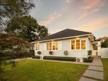 Hayes Paddock - Modern Edition