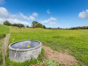 Bare land opportunity