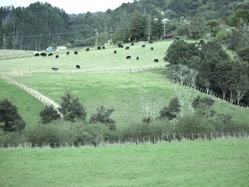 RURAL SITES WITH STUNNING VIEWS & BUBBLING STREAM
