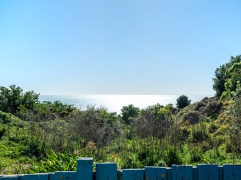 SEA you on Mako! - Estate Sale