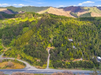Build Your Wow Countryside Retreat in Dome Forest