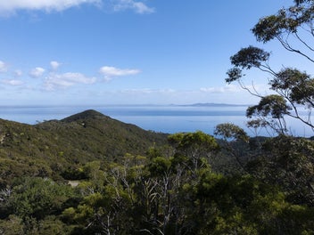 Spectacular Sea Views, Bush Clad, Priced Reduced!