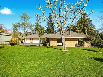 Spacious Lifestyle Living in the Heart of Albany