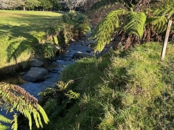 Image 1 of 12
