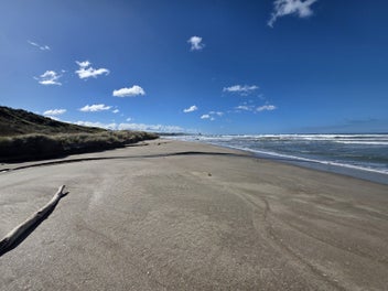 Unique Coastal Living at Otahome