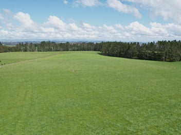 Image 1 of 13