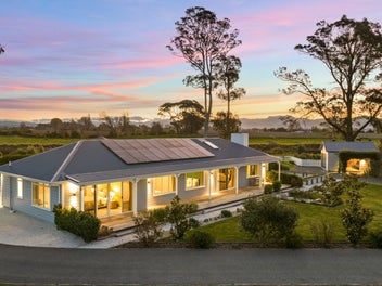 Your river's edge retreat among the vines