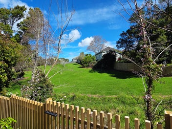 Image 1 of 45