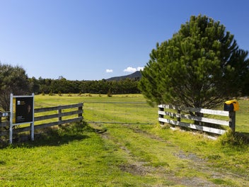 Pukenui Lifestyle with SERIOUS Shed Space