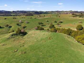 Close to Wainui - 5 Extra Titles